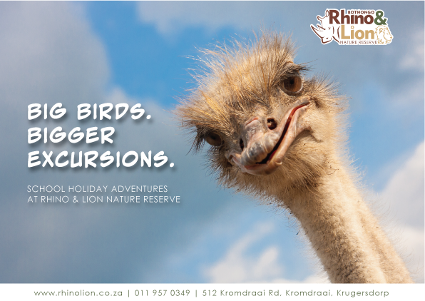 School Holiday Adventures at Rhino & Lion Nature Reserve