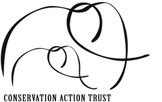 Logo 11