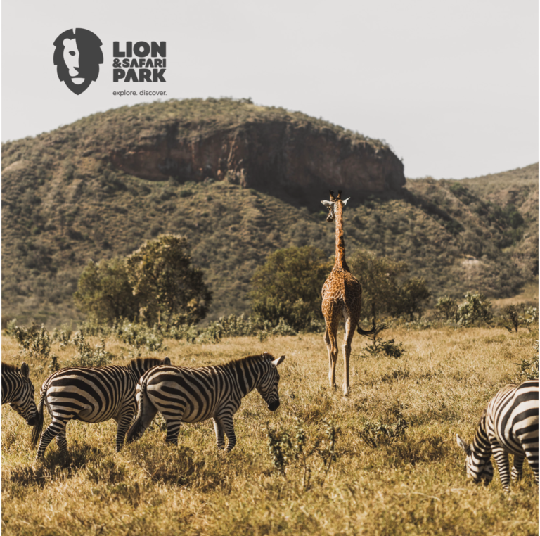 SPRING INTO SAFARI SEASON AT LION & SAFARI PARK